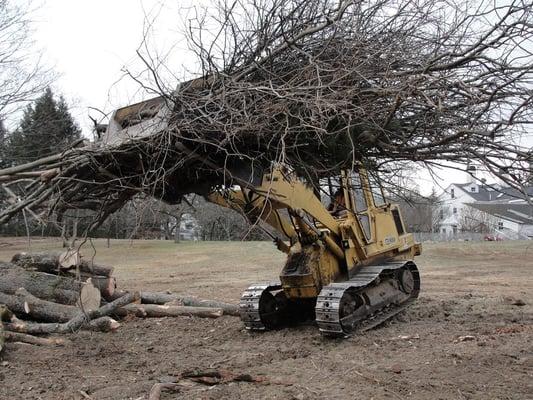 Cat Loader used for land clearing work