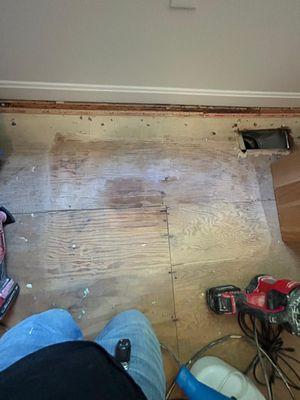 FDP Mold Remediation