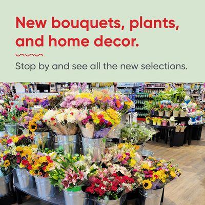 New and improved Oceanside store! We've got fresh decor and a our floral department will definitely brighten your day.