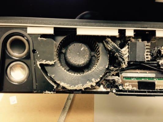 Often Imac fans get loud and even go out because of dust! thats how it looks! gross isnt it?! bring it in for quick clean up!