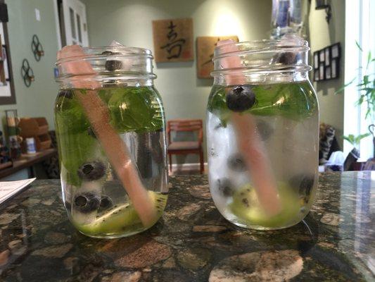 Blueberry & Kiwi Spa Water