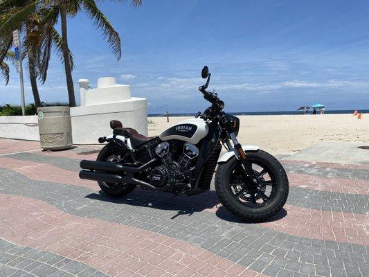 Indian Scout Bobber white