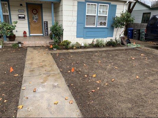 Dead weeds pulled out, yard raked, sprinkler heads staked