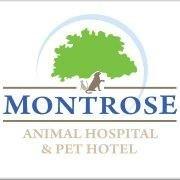 Montrose Animal Hospital