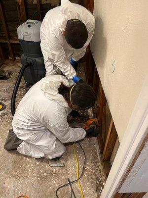 A few of our certified technicians removing mold.