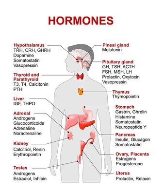 Hormones have an incredible impact on our quality of health - and therefore our lives. Endocrinology & Hormone Balancing is our specialty!