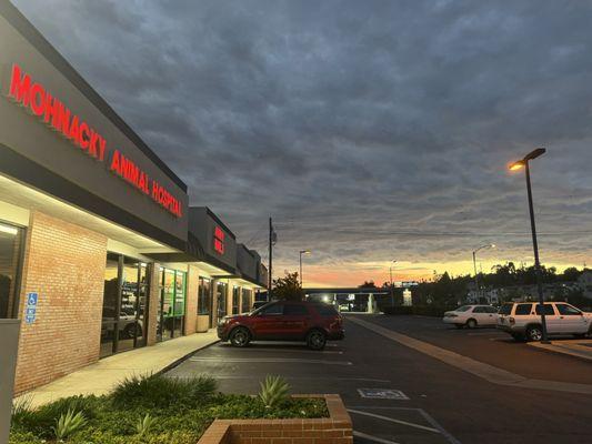 A beautiful evening at Mohnacky Animal Hospital!