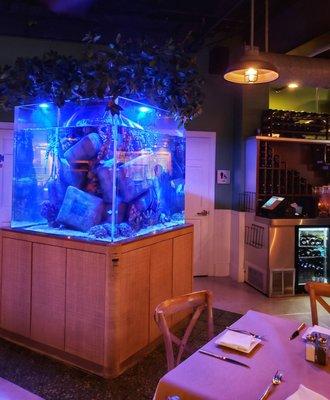 Large aquarium in dining room