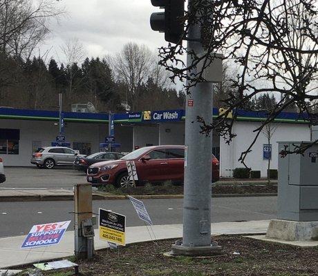 Brown Bear Car Wash