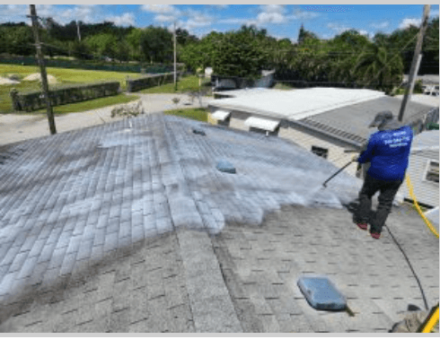 Rejuvenating Shingles