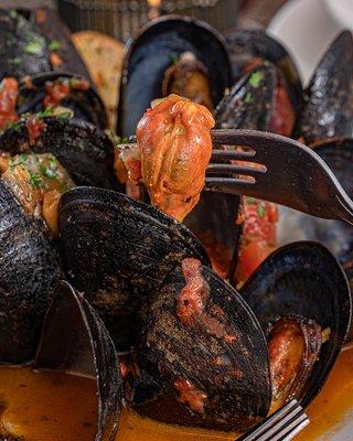 Mussels