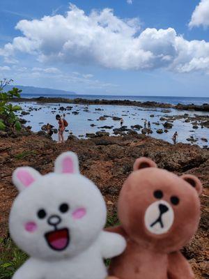 The best place on Oahu for snorkeling!