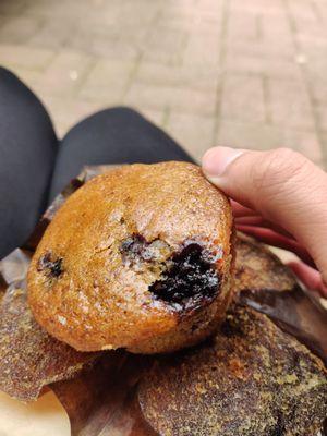 Blueberry muffin