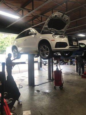 They do oil changes on all vehicle makes!