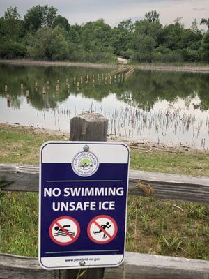 Why would you swim in a turtle pond?