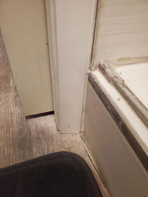 Replaced water damaged moulding