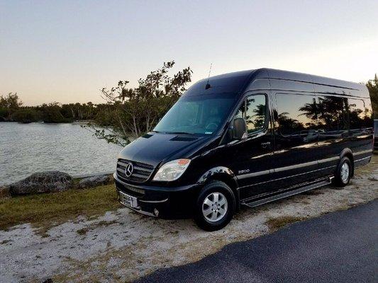 12 passenger Sprinter Limo