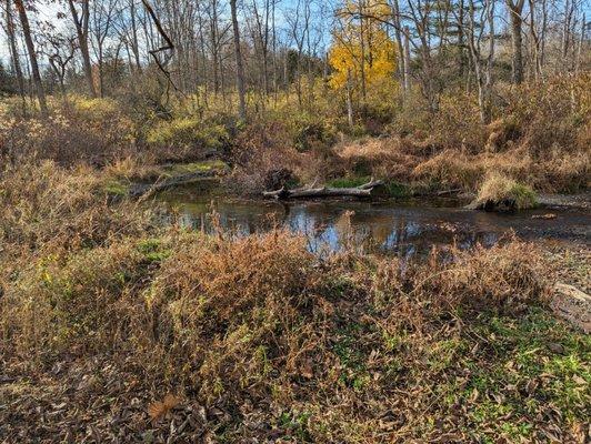 Wappinger Creek