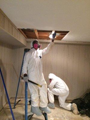 Residential Mold Remediation