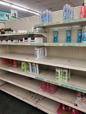 Rows and rows of mostly empty shelves throughout the store.