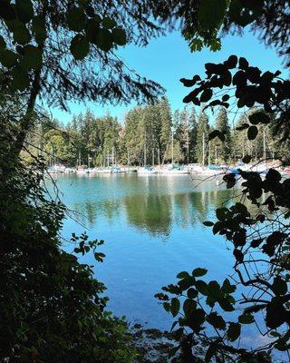 Jarrell Cove State Park