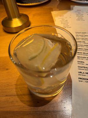 lime & lemon slice frozen in ice cube for water glass