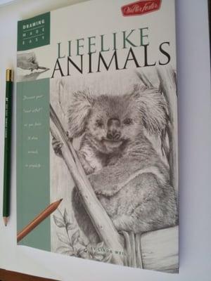 Basic book for sketching animals.