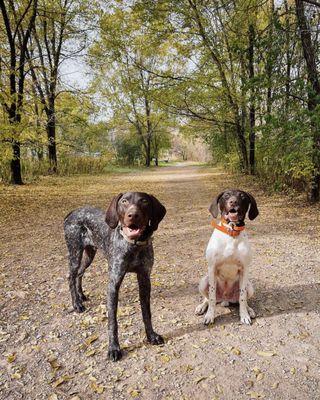 Boise Animal Health and Urgent Care