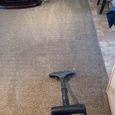 Cleaning High Quality Stainmaster Carpets