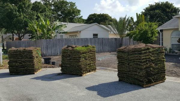 Floratam @ $185 per 500 sq ft (about 200 pieces per pallet and on average 5 in each pallet were falling apart)