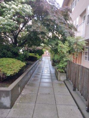 The courtyard is cool, clean, and green