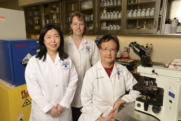 Lina Ma, MD (left), Karen Small, MD (center), and Thongzen Zhao, MD (right).