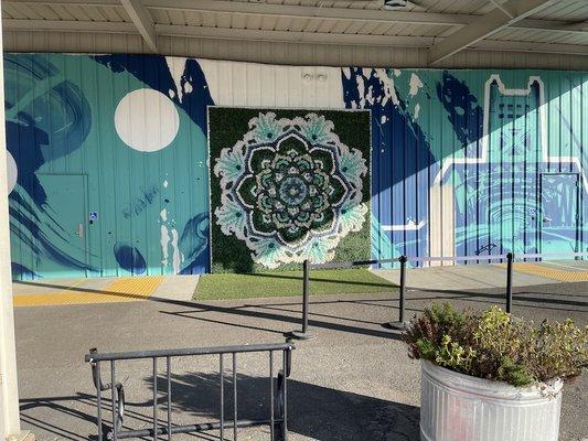 Check out the cool green carpet at Perfect Union Northside Dispensary-- it's one of Sacramento's best  selfie spots