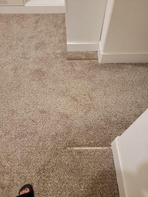 Amazing Carpet & Upholstery Cleaning