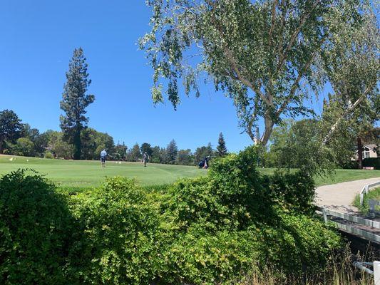 Putting Green near Tee #1