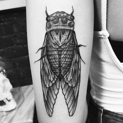 Cicada on the back of the arm.