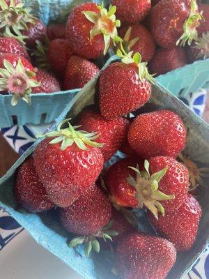 Delicious local strawberries