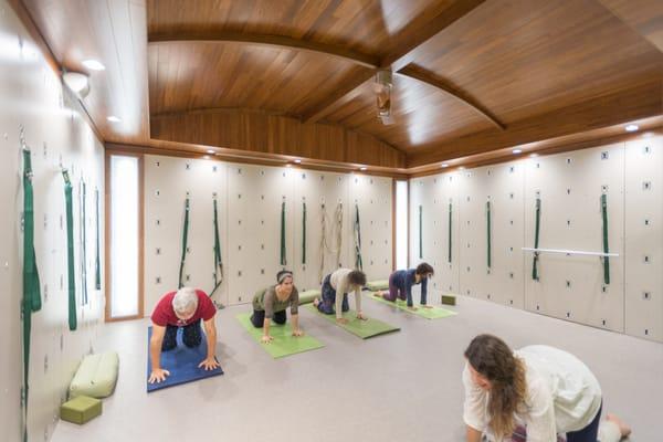 Therapeutic Yoga Class