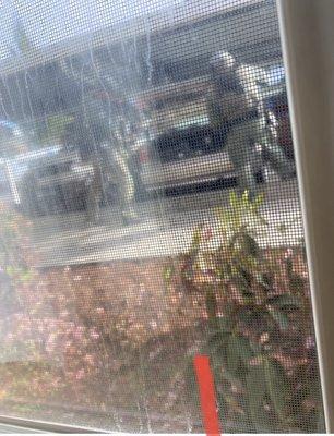 SWAT TEAM opening trunk full of guns and drugs, from my kids room