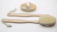 Every treatment starts with Dry Body Brushing!