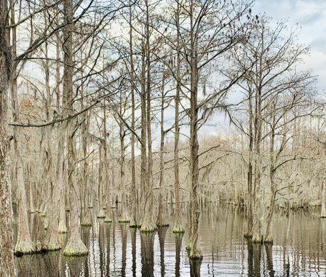 George L Smith State Park