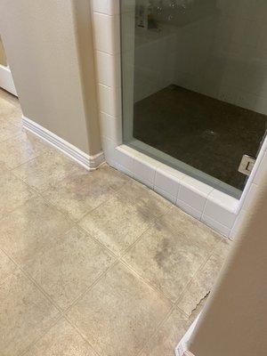 old vinyl flooring had mold stains and had lifted from shower water