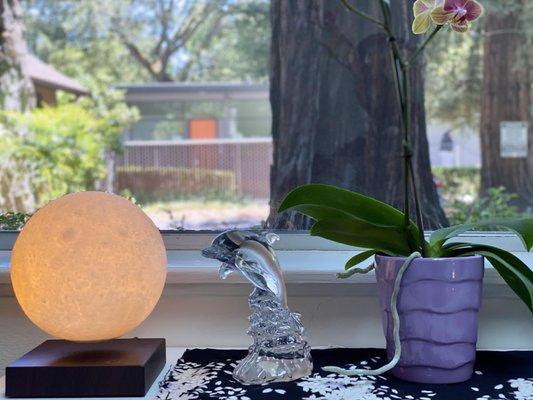 Treatment room moon lamp and orchid