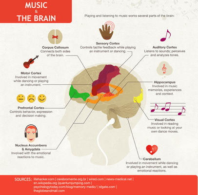 Music is a positive stimulus for concentration and brain development.