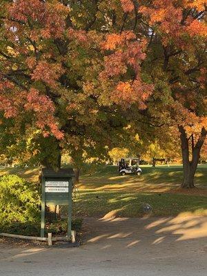 Perfect day for some fall golf.