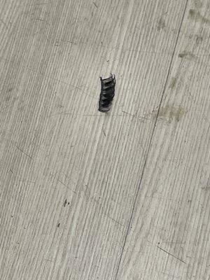 Dirty floor with someone's fake eyelashes in middle of floor