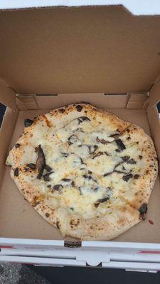 fungi pizza