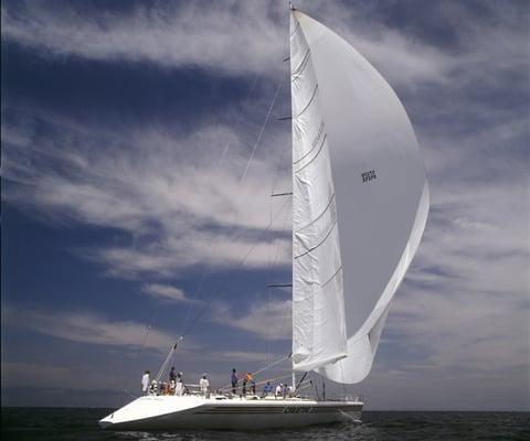 Book your sailing charter: (310) 677-4738