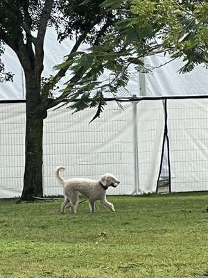 One of the e tents set up for design week.