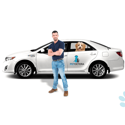 Pet Taxi by Petcetera